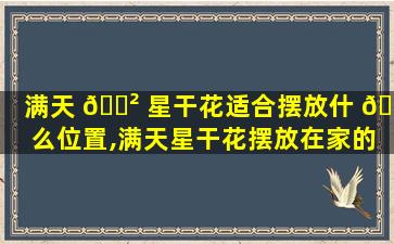 满天 🌲 星干花适合摆放什 🐦 么位置,满天星干花摆放在家的什么地方合适